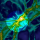 Image for article titled Our First Glimpse of the Web that Connects All Galaxies